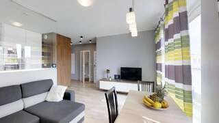 Апартаменты Amsterdam nad Odra by the River TectumApartments Вроцлав Апартаменты с 1 спальней-84